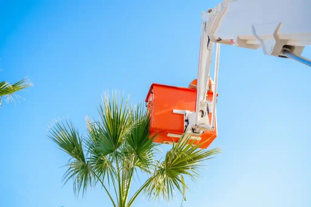 bucket truck operator