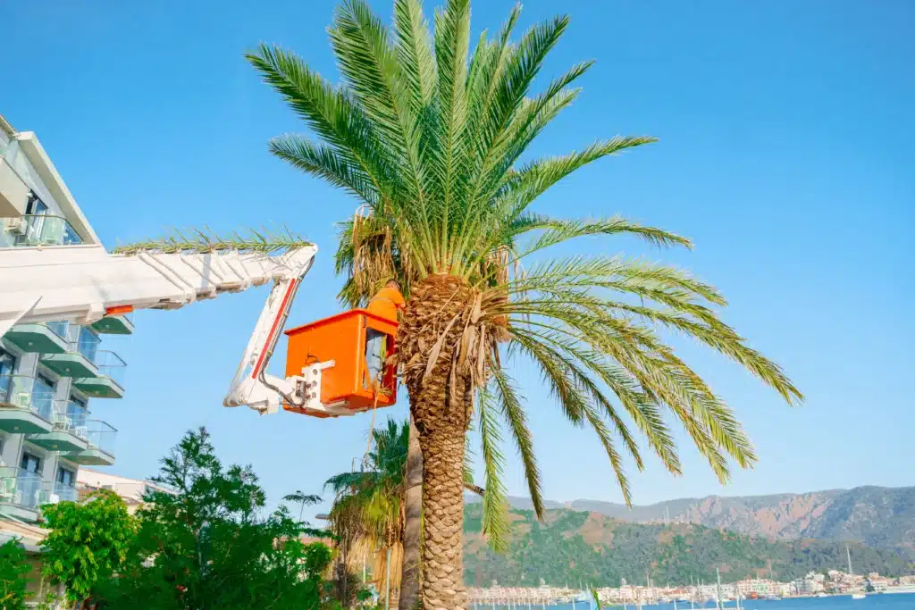 bucket truck operator